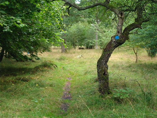 Bild uppladdad av Nicklas Nordborg