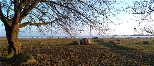 Bild uppladdad av -AT-