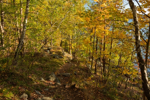 Bild uppladdad av Bert Gustafsson