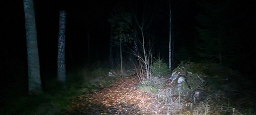 Bild uppladdad av Henrik Ortman