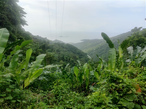 Bild uppladdad av Peter