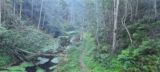 Bild uppladdad av Henrik Ortman