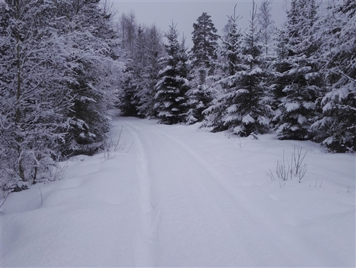 Bild uppladdad av Henrik Ortman