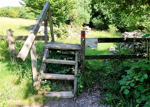 Bild uppladdad av Nicklas Nordborg