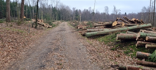 Bild uppladdad av Nicklas Nordborg