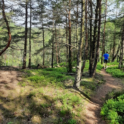 Bild uppladdad av Monica Carlsson