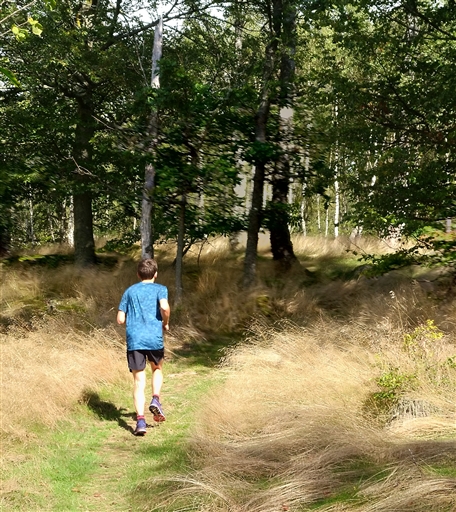 Bild uppladdad av Nicklas Nordborg