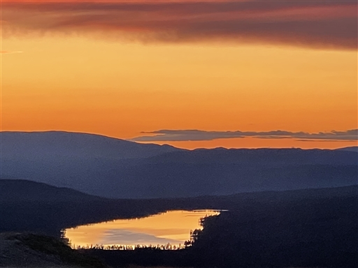 Bild uppladdad av Patrik Matsson