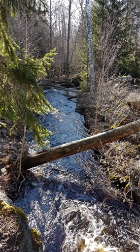Bild uppladdad av Torbjörn Westman