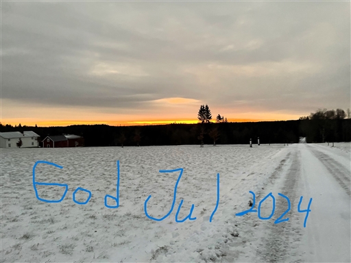 Bild uppladdad av Anonymiserad