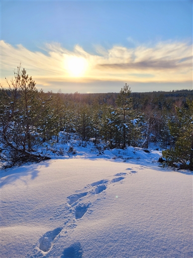 Bild uppladdad av Marcus