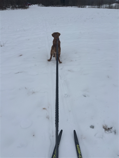 Bild uppladdad av Karin Nilsson