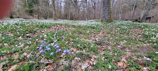 Bild uppladdad av Nicklas Nordborg