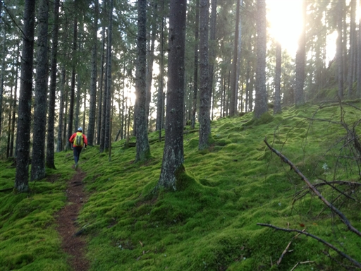 Bild uppladdad av Mattias Wigh