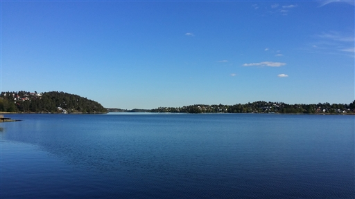 Bild uppladdad av Hui Zhao