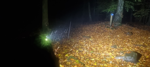 Bild uppladdad av Nicklas Nordborg