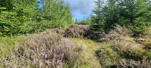 Bild uppladdad av Nicklas Nordborg