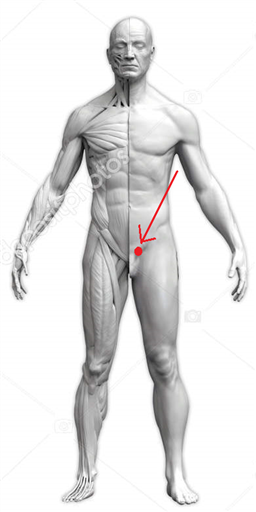 Bild uppladdad av Marcus