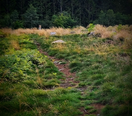 Bild uppladdad av Nicklas Nordborg