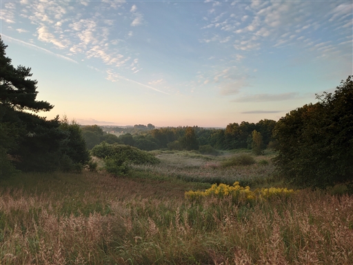 Bild uppladdad av Per Bilén