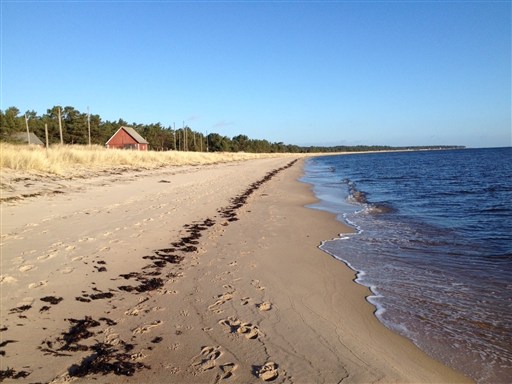 Bild uppladdad av Martin Sjöberg