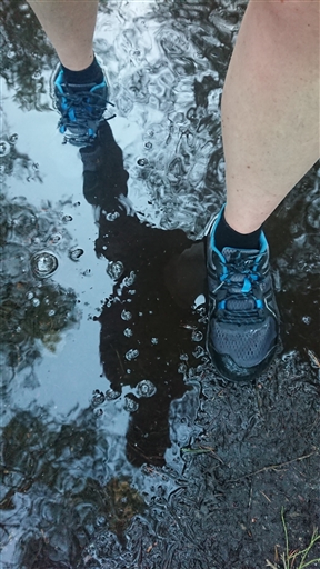 Bild uppladdad av Jenny Nilsson