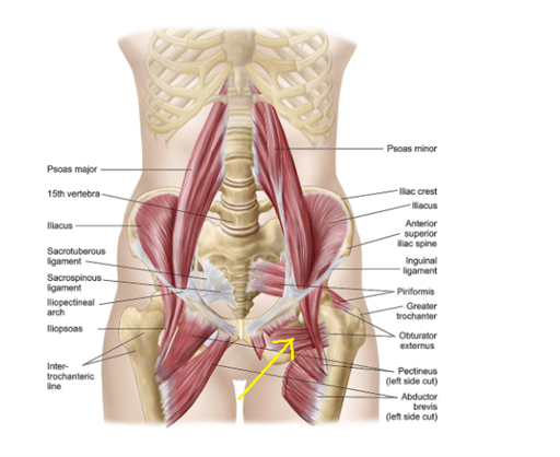 Bild uppladdad av Marcus