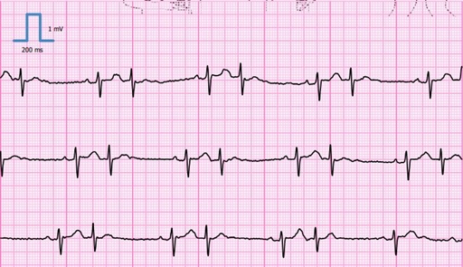 Bild uppladdad av Leif Karlsson