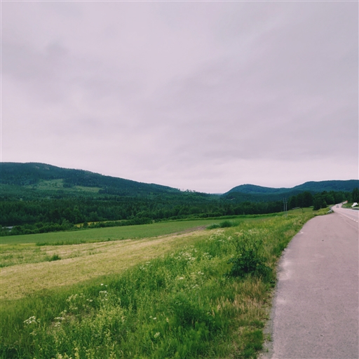 Bild uppladdad av Erik