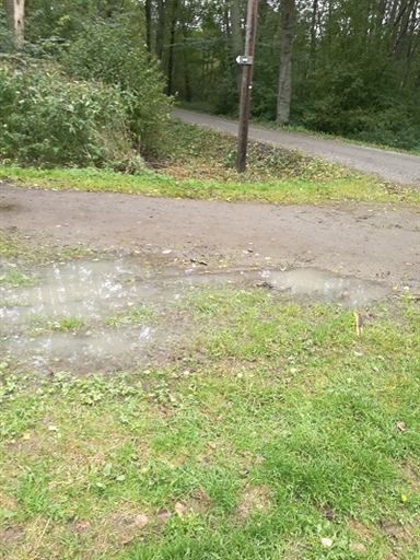 Bild uppladdad av niffhatt