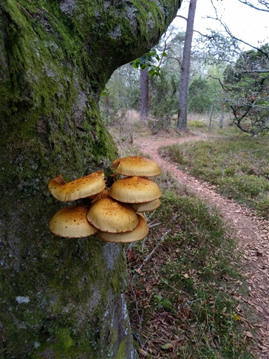 Bild uppladdad av Nicklas Nordborg