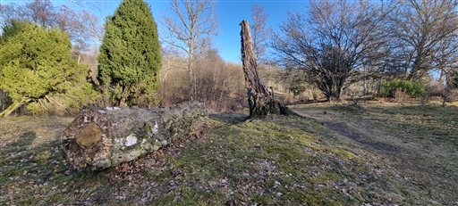 Bild uppladdad av Nicklas Nordborg