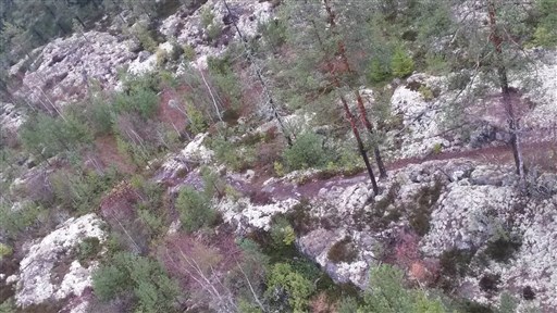 Bild uppladdad av Henrik Ortman