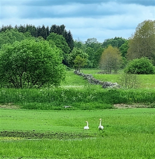 Bild uppladdad av Nicklas Nordborg