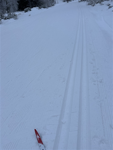 Bild uppladdad av Catarina Henriksson