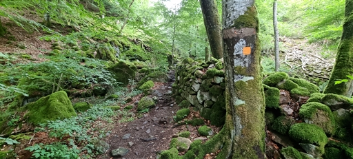 Bild uppladdad av Nicklas Nordborg