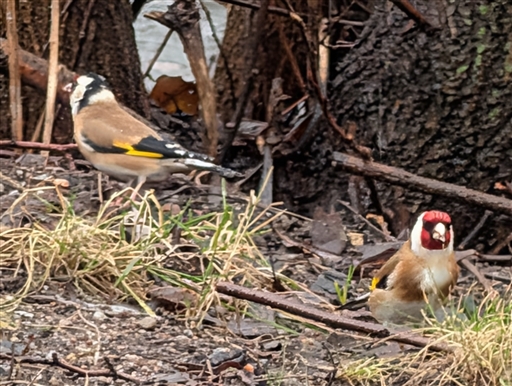 Bild uppladdad av Helena Ferry