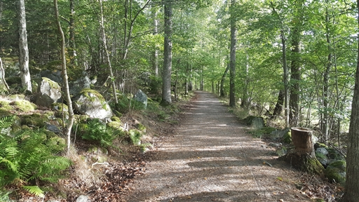 Bild uppladdad av Kalle Kula