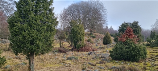 Bild uppladdad av Nicklas Nordborg