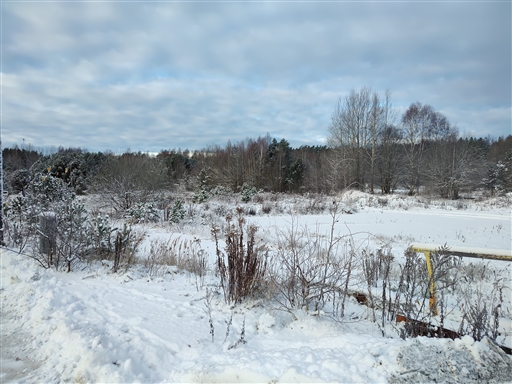 Bild uppladdad av Eva Enmark