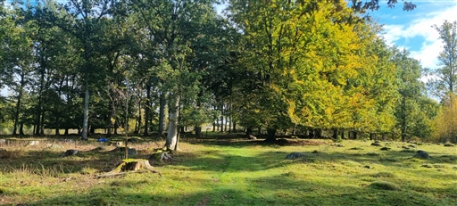 Bild uppladdad av Nicklas Nordborg