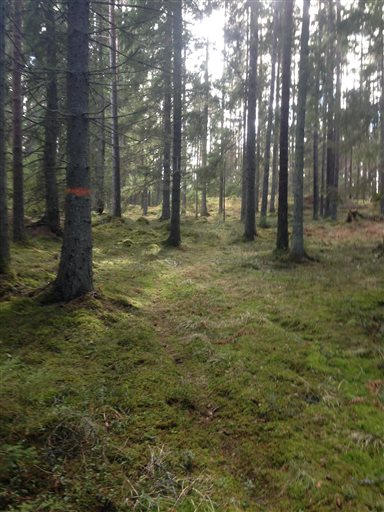 Bild uppladdad av Robin