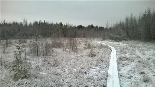 Bild uppladdad av Henrik Wik