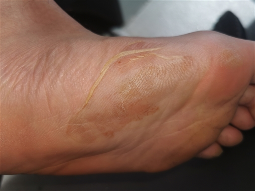 Bild uppladdad av Montahadi