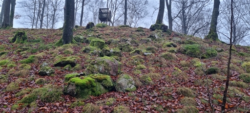 Bild uppladdad av Nicklas Nordborg