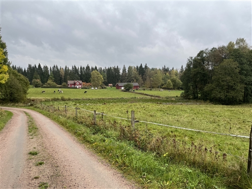 Bild uppladdad av Anonymiserad