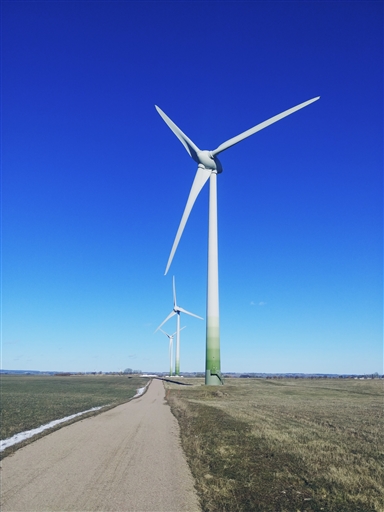 Bild uppladdad av Zingo Andersen