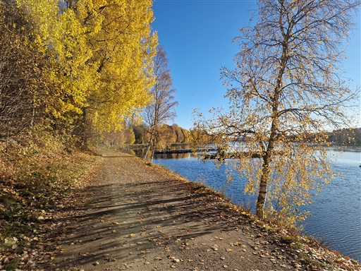 Bild uppladdad av Anna