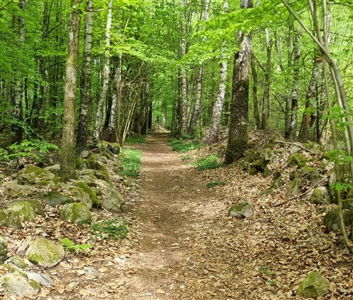 Bild uppladdad av Nicklas Nordborg