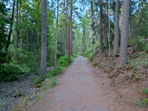 Bild uppladdad av Samuel